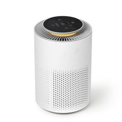 Collection image for: Air Purifier