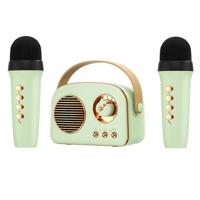 Portable Bluetooth 5.0 Speaker with 2 Wireless Mics, Rich Bass, 5W Hi-Core Sound, 6 Effects, 4 Modes and Colors, Vocal Cancel, Long Battery Life