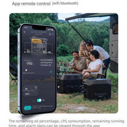 Dual Fuel Intelligent Generator Portable Frequency Conversion Energy Saving Electric Start Oil and Electricity Dual Use